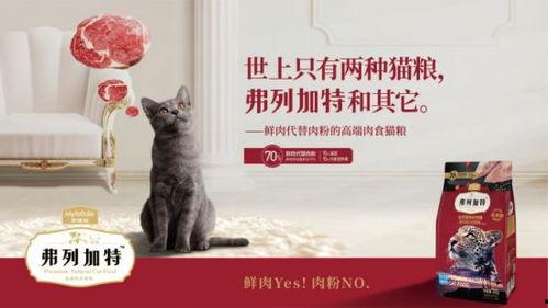 弗列加特最新爆料,尖端科技引领未来军事变革